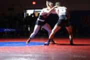 Wrestling Falcon Frenzy (BR3_6219)