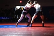 Wrestling Falcon Frenzy (BR3_6220)