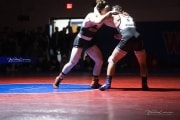 Wrestling Falcon Frenzy (BR3_6222)
