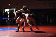 Wrestling Falcon Frenzy (BR3_6260)
