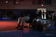 Wrestling Falcon Frenzy (BR3_6306)