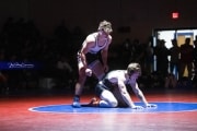 Wrestling Falcon Frenzy (BR3_6331)