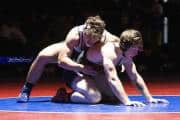 Wrestling Falcon Frenzy (BR3_6335)