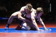 Wrestling Falcon Frenzy (BR3_6336)