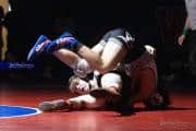 Wrestling Falcon Frenzy (BR3_6355)