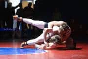 Wrestling Falcon Frenzy (BR3_6372)