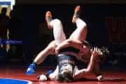 Wrestling Falcon Frenzy (BR3_6376)