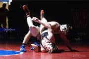 Wrestling Falcon Frenzy (BR3_6383)