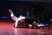 Wrestling Falcon Frenzy (BR3_6400)