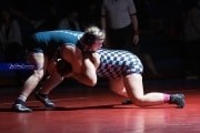 Wrestling Falcon Frenzy (BR3_6452)