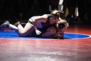 Wrestling Falcon Frenzy (BR3_6489)