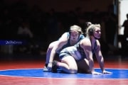 Wrestling Falcon Frenzy (BR3_6496)