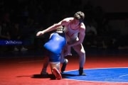 Wrestling Falcon Frenzy (BR3_6553)