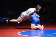 Wrestling Falcon Frenzy (BR3_6566)