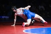 Wrestling Falcon Frenzy (BR3_6570)