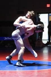 Wrestling Falcon Frenzy (BR3_6586)