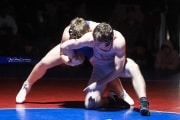 Wrestling Falcon Frenzy (BR3_6594)