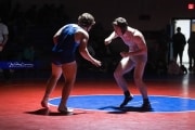 Wrestling Falcon Frenzy (BR3_6604)