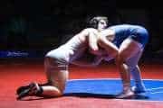 Wrestling Falcon Frenzy (BR3_6606)
