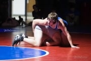 Wrestling Falcon Frenzy (BR3_6629)