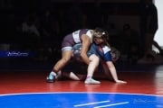 Wrestling Falcon Frenzy (BR3_6638)