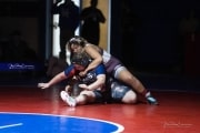 Wrestling Falcon Frenzy (BR3_6639)