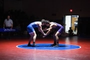 Wrestling Falcon Frenzy (BR3_6650)