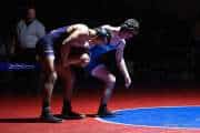 Wrestling Falcon Frenzy (BR3_6660)
