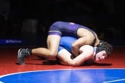 Wrestling Falcon Frenzy (BR3_6670)