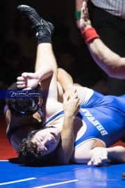 Wrestling Falcon Frenzy (BR3_6674)