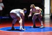 Wrestling Falcon Frenzy (BR3_6690)