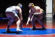 Wrestling Falcon Frenzy (BR3_6694)