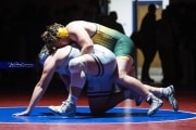Wrestling Falcon Frenzy (BR3_6721)