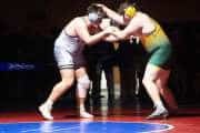 Wrestling Falcon Frenzy (BR3_6758)