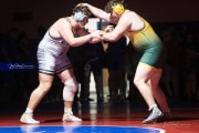 Wrestling Falcon Frenzy (BR3_6760)