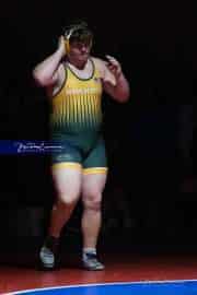 Wrestling Falcon Frenzy (BR3_6767)