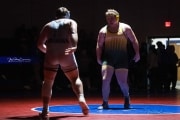 Wrestling Falcon Frenzy (BR3_6780)