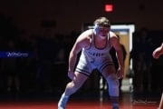 Wrestling Falcon Frenzy (BR3_6830)