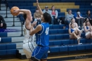 Basketball: McDowell at TC Roberson (BR3_3230)