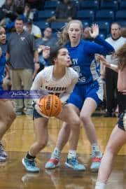 Basketball: McDowell at TC Roberson (BR3_2189)