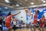 Basketball: Hendersonville at West Henderson (BR3_9783)