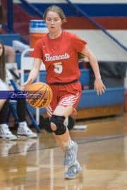 Basketball: Hendersonville at West Henderson (BR3_9459)