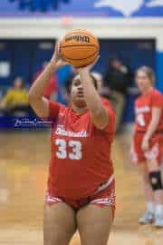 Basketball: Hendersonville at West Henderson (BR3_9499)