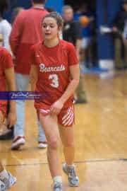 Basketball: Hendersonville at West Henderson (BR3_9591)
