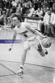 Basketball: Franklin at West Henderson (BR3_4197)