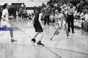 Basketball: Franklin at West Henderson (BR3_4256)