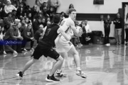Basketball: Franklin at West Henderson (BR3_4261)