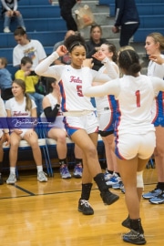 Basketball: Tuscola at West Henderson (BR3_4768)