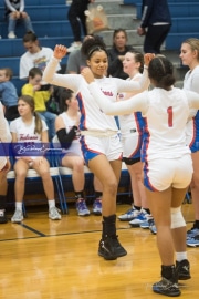 Basketball: Tuscola at West Henderson (BR3_4772)
