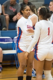Basketball: Tuscola at West Henderson (BR3_4797)